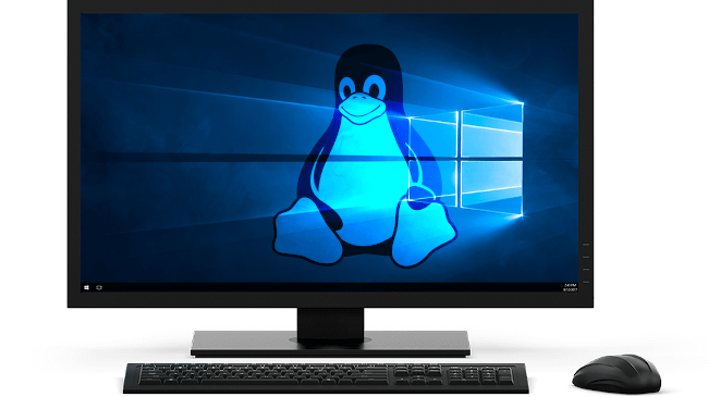Linux en Windows